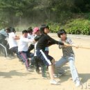 목동초교 이미지