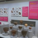 장흥고등학교 | 부산 가볼만한 곳 금정구 아이와 가기 좋은 실내 여행지|부산대학교박물관