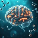 알파 PC | 알파-G PC 뇌 건강과 퍼 포 먼 스를 위한 핵심 영양소