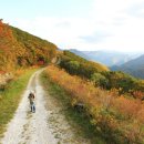 지장천로 이미지