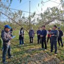 의성군농업기술센터(금성지소) 이미지