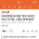 김병민 &#34;윤석열, 장모 10원 한 장 발언 말한 적 없어&#34; 가짜뉴스 이미지