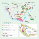 3월14~15일(토,일)광양 매화축제+와인동굴 탐방 무박 정기산행 이미지