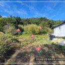 삼산면-7 이미지