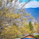 상위경로당 이미지