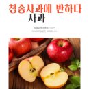 ‘사과🍎‘ 하면 생각나는 지역은? 이미지