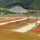 K-소리 콘테스트 이미지