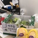 과일다니