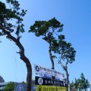 오거리광장 이미지