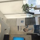 서울샘치과의원 이미지