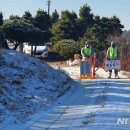 이병찬농장 이미지