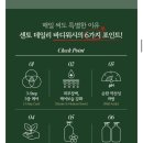 센토 | 대용량 바디워시 추천 | 저자극 센토 바디워시 일랑머스크 내돈내산 후기