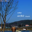 코렉스 자전거 이미지