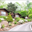 소선암자연휴양림 이미지