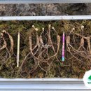 근인농장 이미지