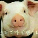 나루키친 - 화성시 동탄공원로1길 8-21 | 나루키친