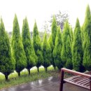 완도LOWA 이미지