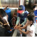 (사)한국청소년연맹 이미지