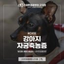 스마트동물병원 군자점 이미지