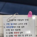 스포티지 차량명의변경 &amp; 강남에 이쁜 뮤지엄 약국