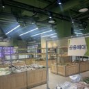 푸드팜 | 무항생제 계란은 여기서｜경기광주 푸드팜센터 솔직 후기