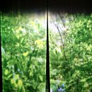 뜰에꽃화원 | [경주 보문동] 새롭게 개장한 미디어아트 정원 제2 동궁원 라인(RaWon)