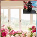 울알라애견미용 이미지