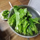 통나무돼지짱 | 춘천 통나무집닭갈비 택배 밀키트 선물받아 먹은 후기 (+본점 방문 맛 비교)