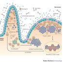 세종우리약국 이미지