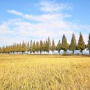 죽동마을 이미지