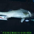 해오름피싱