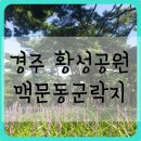 미천경로당 | 경주 황성공원 맥문동 아름다운 맥문동과 푸른 녹음을 볼 수 있는 곳/부산근교여행 9월여행지