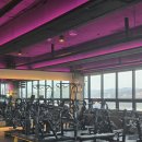 머슬팩토리24 경상대점 이미지