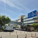 농산물도매시장 | 인천 삼산농산물도매시장 후기 과일·채소 신선함 최고! 가격까지 만족한 장보기