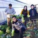 뽑기사랑 이미지