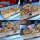 이백 하우스 이미지