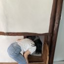 스텔라하우스 이미지