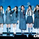 펑키트래블 이미지