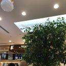 인바이먼트