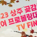 11월 23일 목요일 출똑해요~/ 상주곶감컵 TV파이널 시작합니다~ 이미지