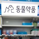 벳전문약국 데일리벳