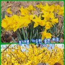 멋진하루 이미지