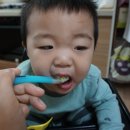 OK PC | 짱죽이유식/ 혼자서도 잘먹는 후기이유식
