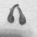 분당 아마존 동물병원 이미지