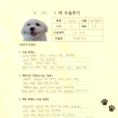 1432 | [#1432] 배추(양측 슬개골탈구 G1, G3)의 수술후기