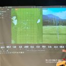 다모아인터넷플라자 | 골프 피팅샵 지베이 Gbay 여자 골프채 피팅 방문후기 스윙분석 및 드라이버 아이언 헤드 샤프트 교체 피팅