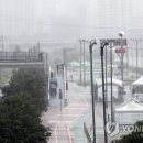 동부순환로2 이미지