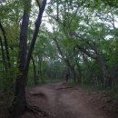 [광주 광산구]광주여대~동자봉(154m)~어등산~풍악정~광주여대 다녀오기(2021/5/1/토 오후) 이미지