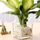 (유)수경 이미지