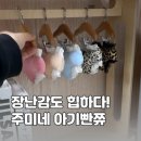 주미요 | 펫테리어 인테리어 소품 추천, 강아지 삑삑이 장난감 주미네 아가빤쮸 후기